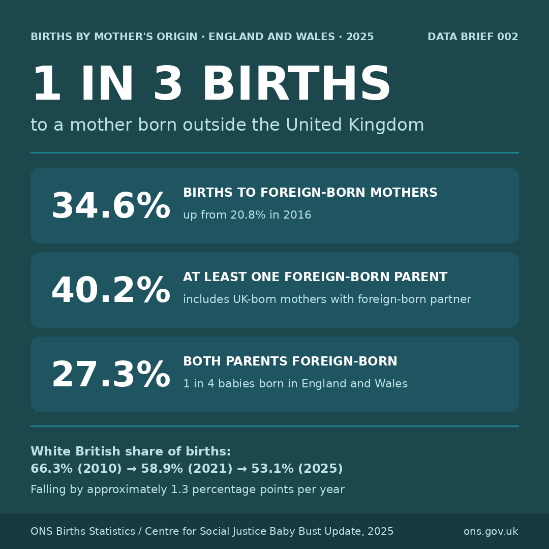 Births by mother's origin — 34.6% to foreign-born mothers